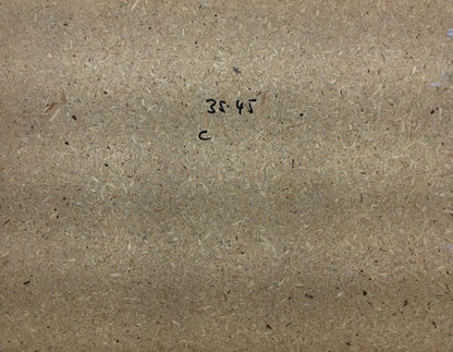 Bizarrer Baum - Rückenakt.